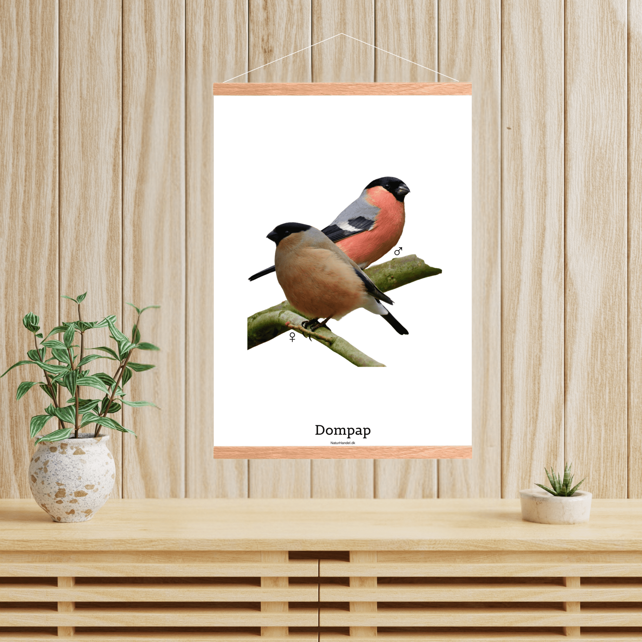 Dompap - NaturHandel.dk