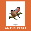 DOMPAP A6 FUGLEKORT - PR. STK. - NaturHandel.dk