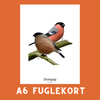 DOMPAP A6 FUGLEKORT - PR. STK. - NaturHandel.dk