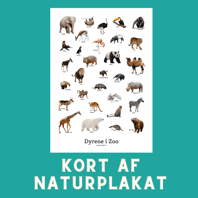 DYRENE I ZOO A6 KORT - NaturHandel.dk