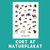 DYRENE I ZOO A6 KORT - NaturHandel.dk