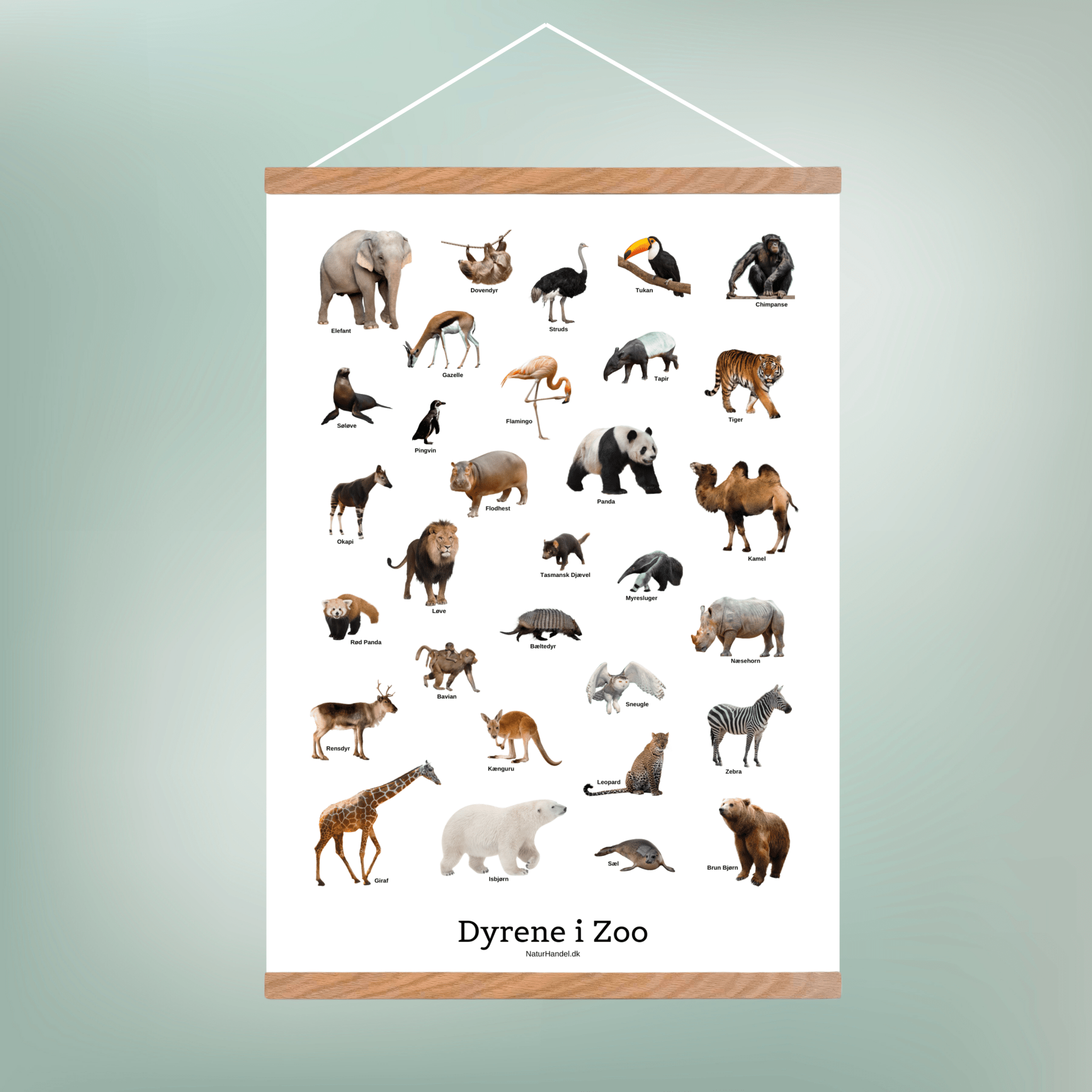 Dyrene I Zoo Plakat - NaturHandel.dk
