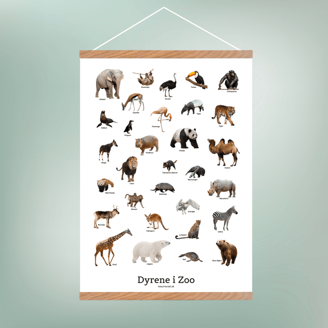 Dyrene I Zoo Plakat - NaturHandel.dk