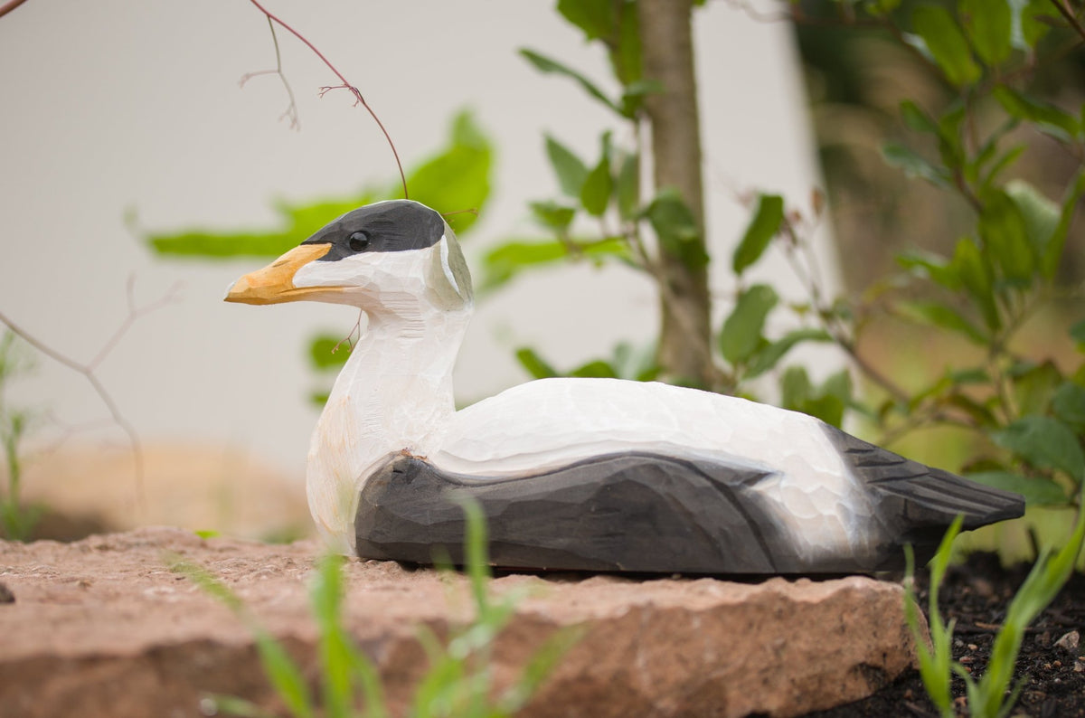 Edderfugl DecoBird - NaturHandel.dk