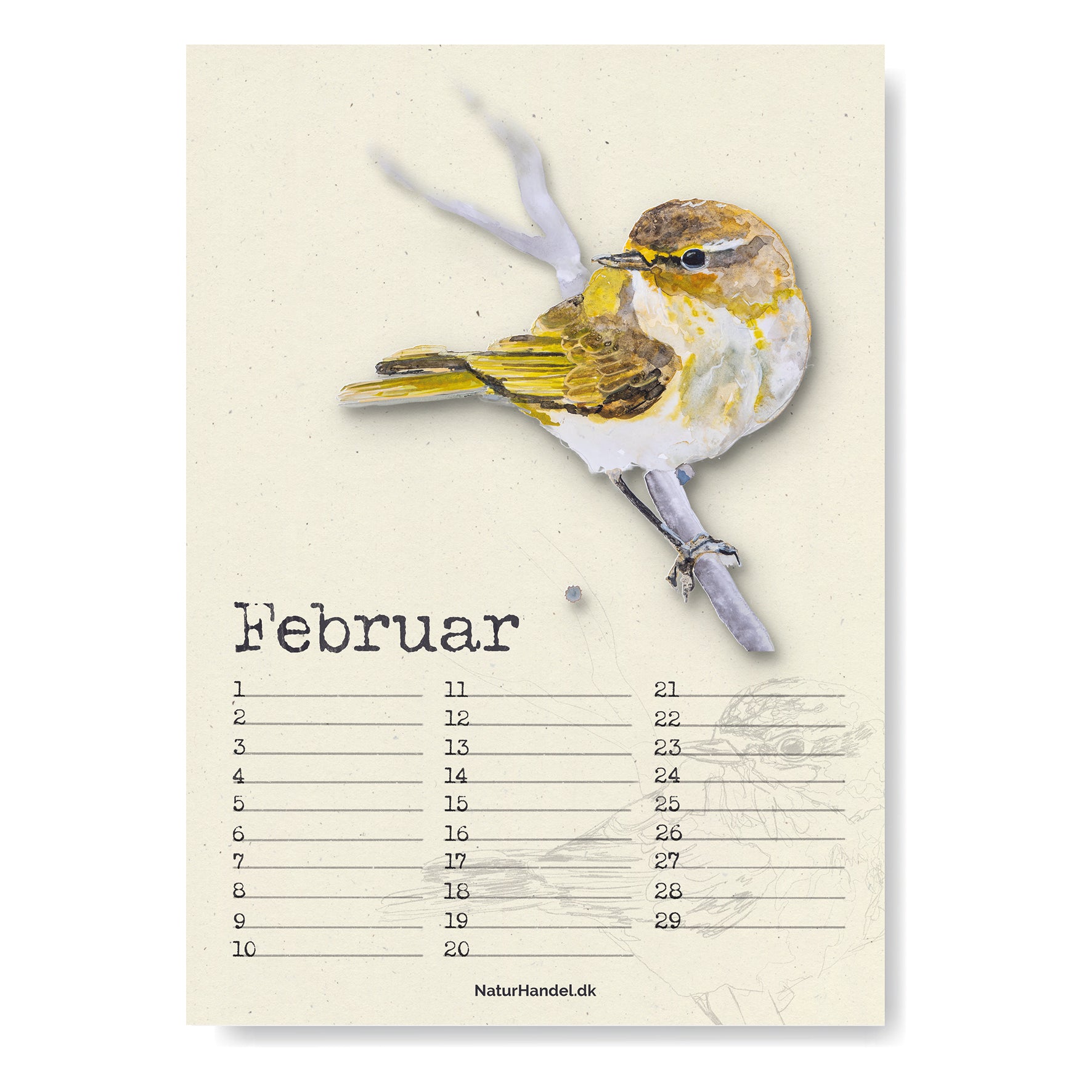 Evighedskalender med fugle i A4 - NaturHandel.dk
