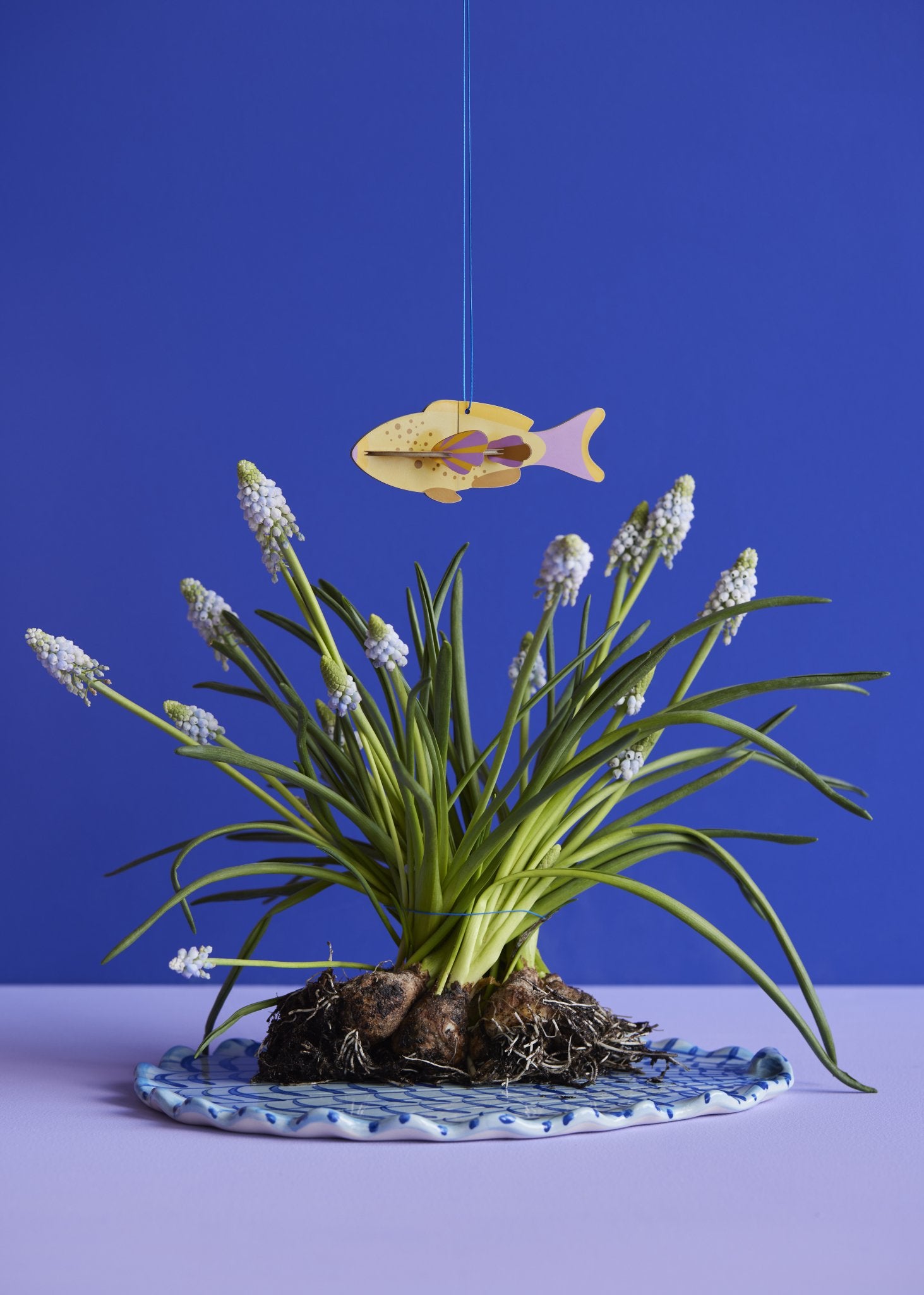 Fisk - Lucky Charm - Studio ROOF