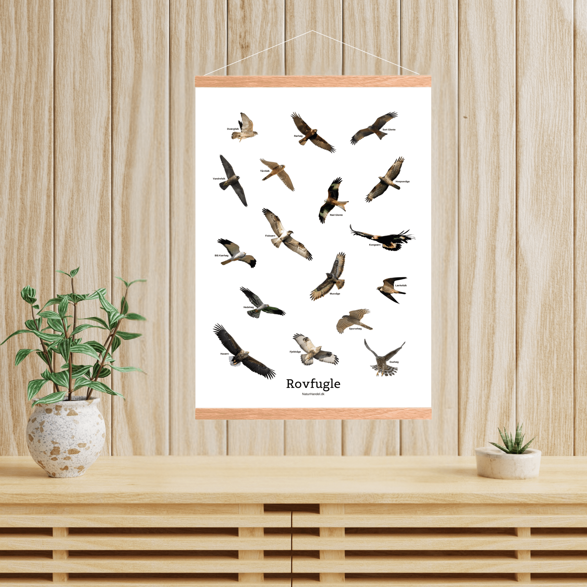 Flyvende Rovfugle Plakat - NaturHandel.dk