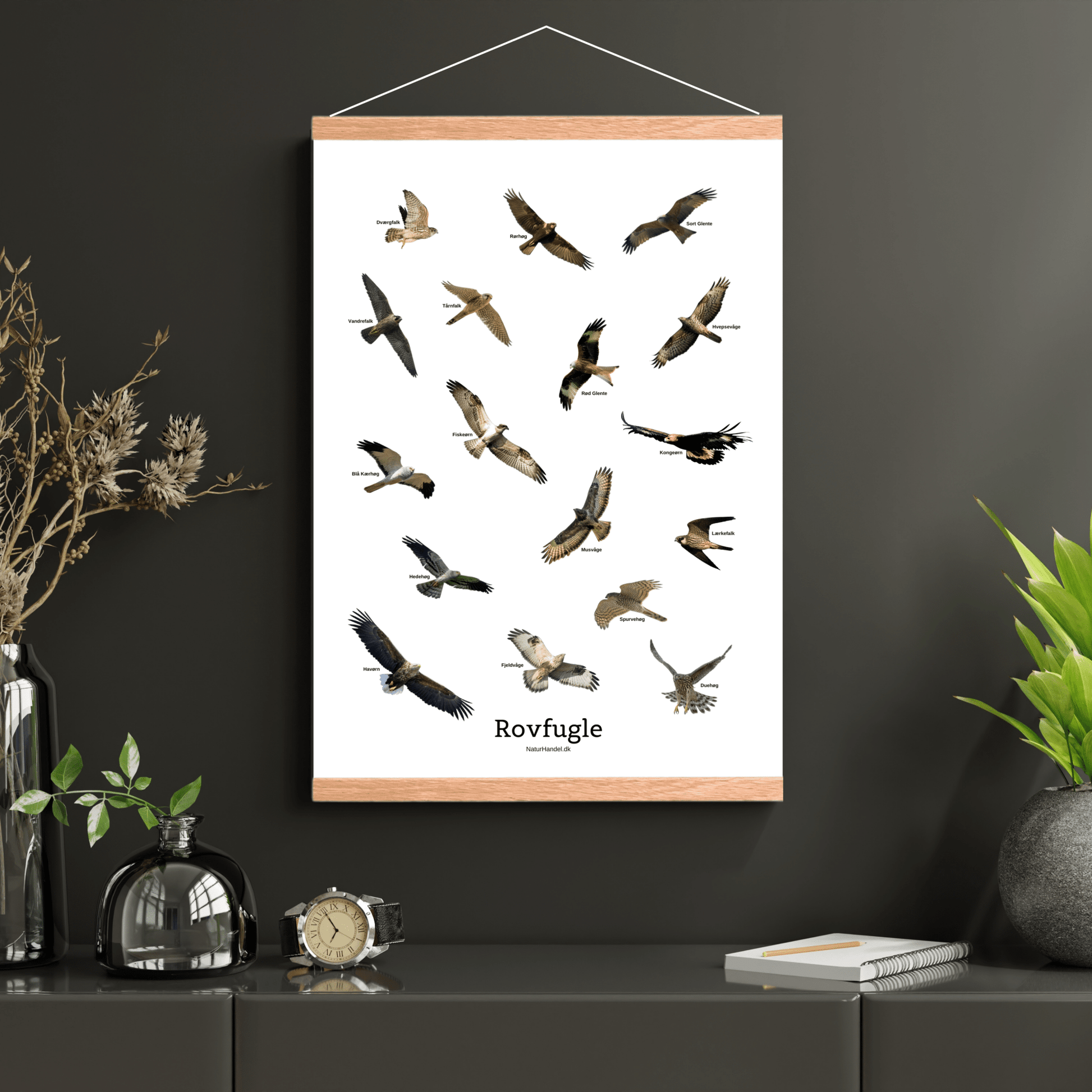 Flyvende Rovfugle Plakat - NaturHandel.dk