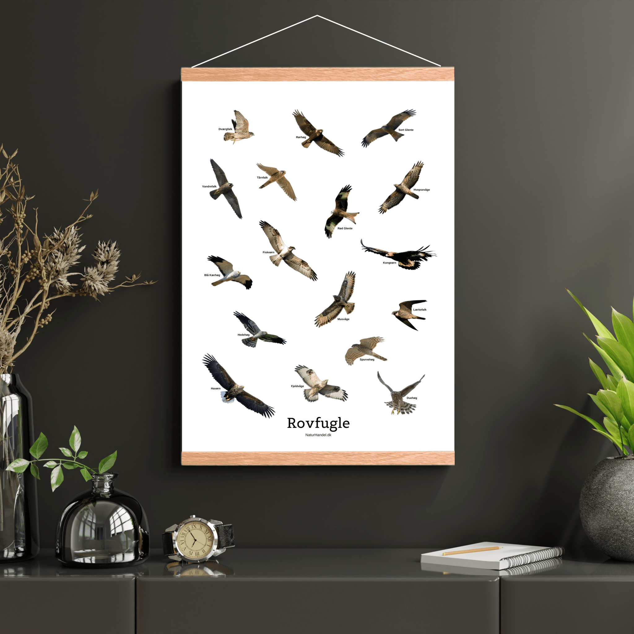 Flyvende Rovfugle Plakat - NaturHandel.dk