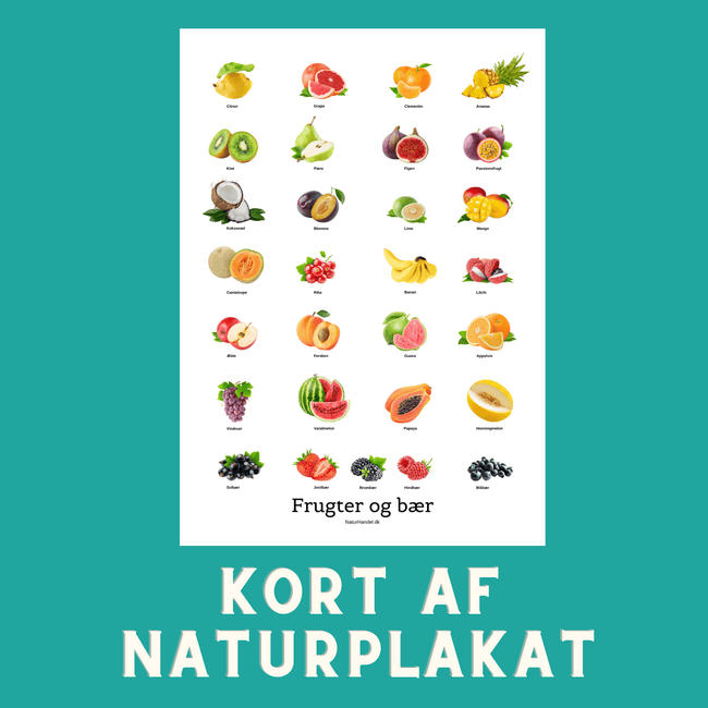 FRUGTER & BÆR A6 KORT - NaturHandel.dk