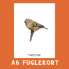 FUGLEKONGE A6 FUGLEKORT - PR. STK. - NaturHandel.dk