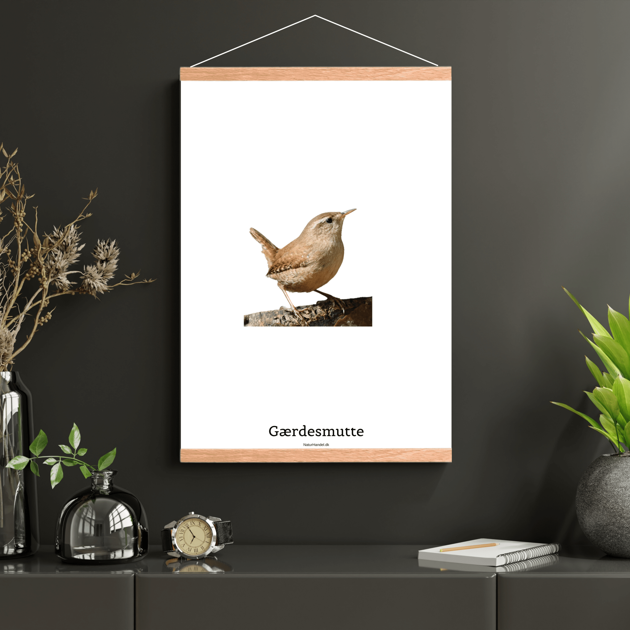 Gærdesmutte - NaturHandel.dk