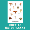 GIFTIGE SVAMPE A6 KORT - NaturHandel.dk