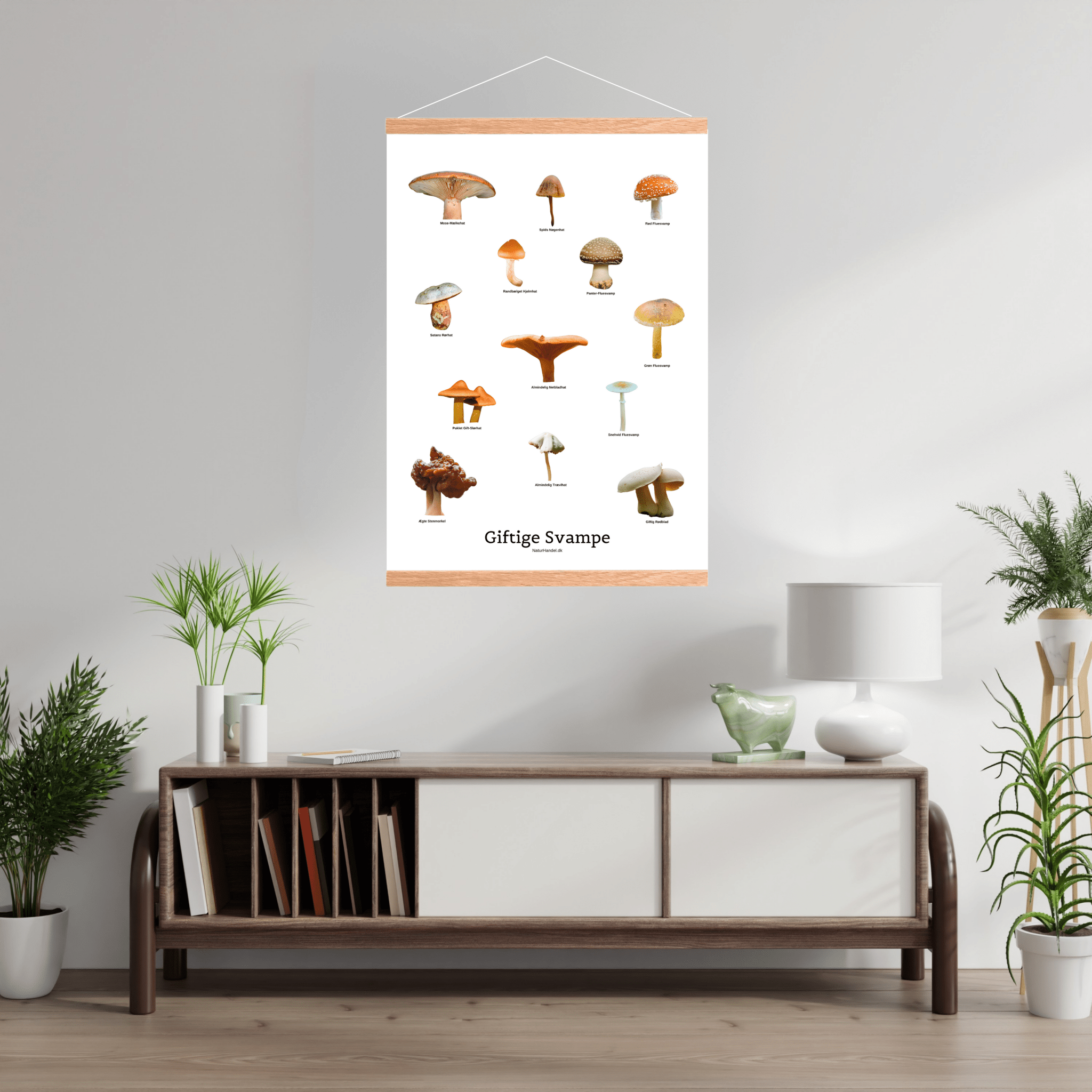 Giftige Svampe Plakat - NaturHandel.dk