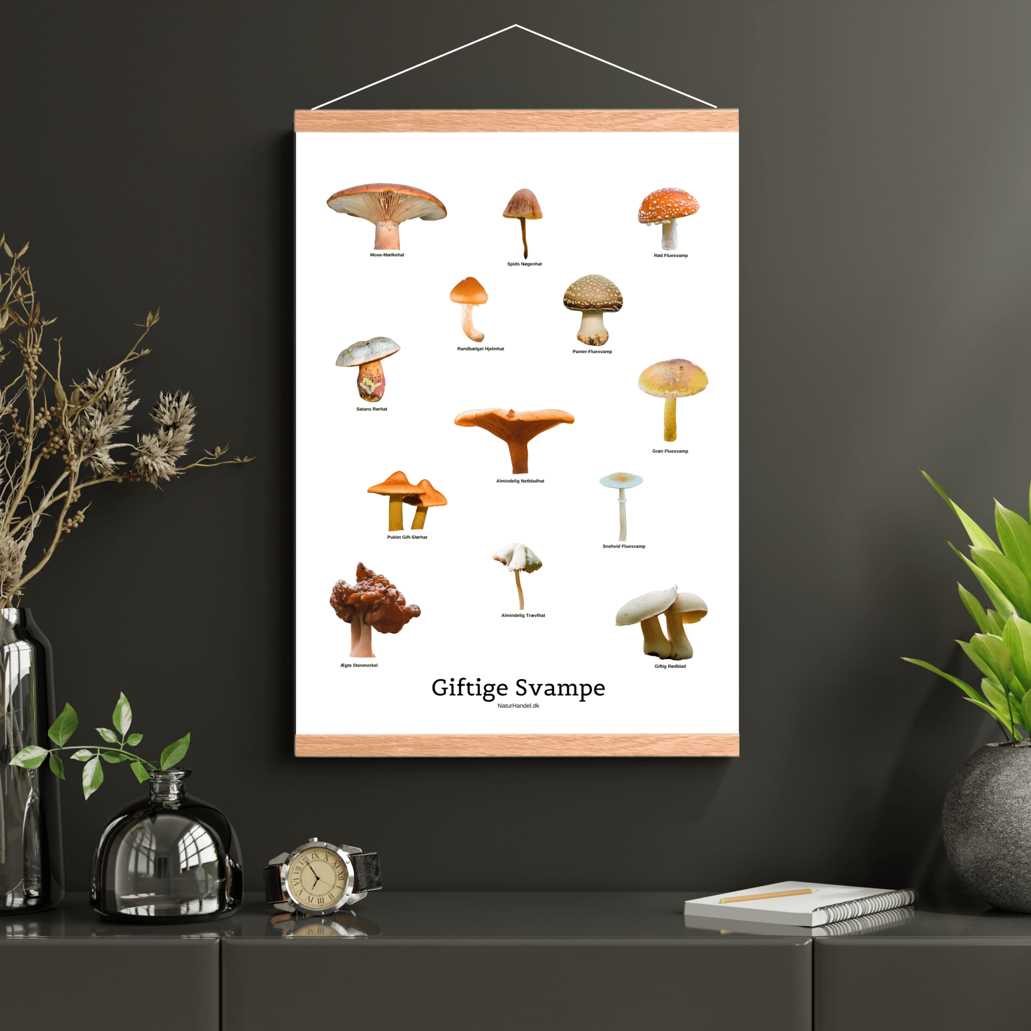 Giftige Svampe Plakat - NaturHandel.dk