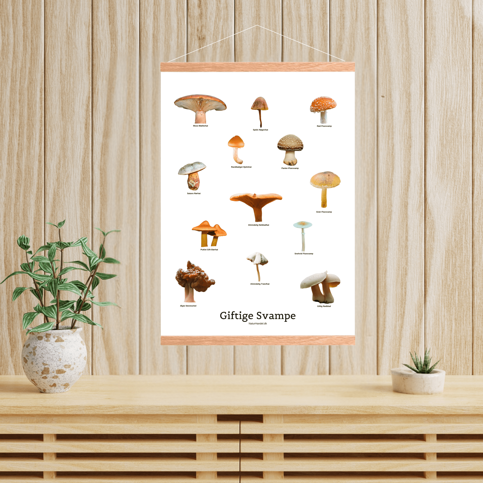 Giftige Svampe Plakat - NaturHandel.dk