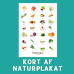 GRØNTSAGER A6 KORT - NaturHandel.dk