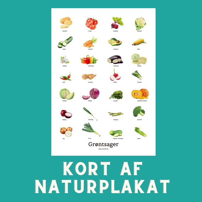 GRØNTSAGER A6 KORT - NaturHandel.dk