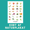 GRØNTSAGER A6 KORT - NaturHandel.dk