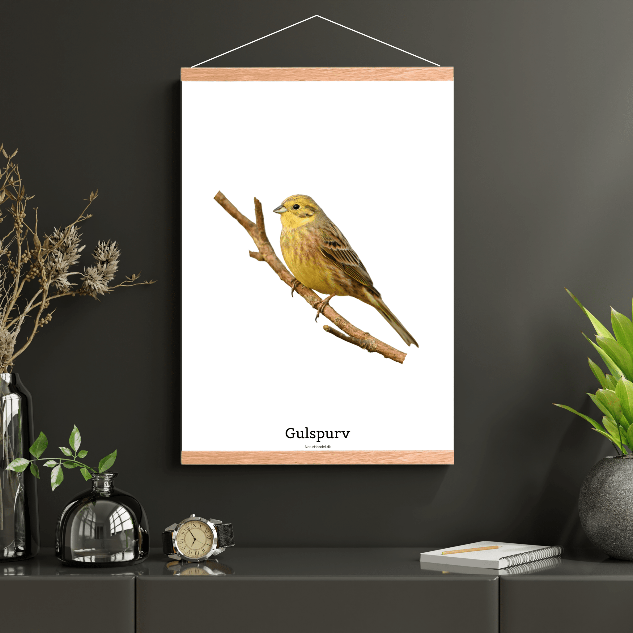 Gulspurv - NaturHandel.dk