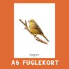 GULSPURV A6 FUGLEKORT - PR. STK. - NaturHandel.dk