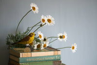 Gulspurv DecoBird - NaturHandel.dk