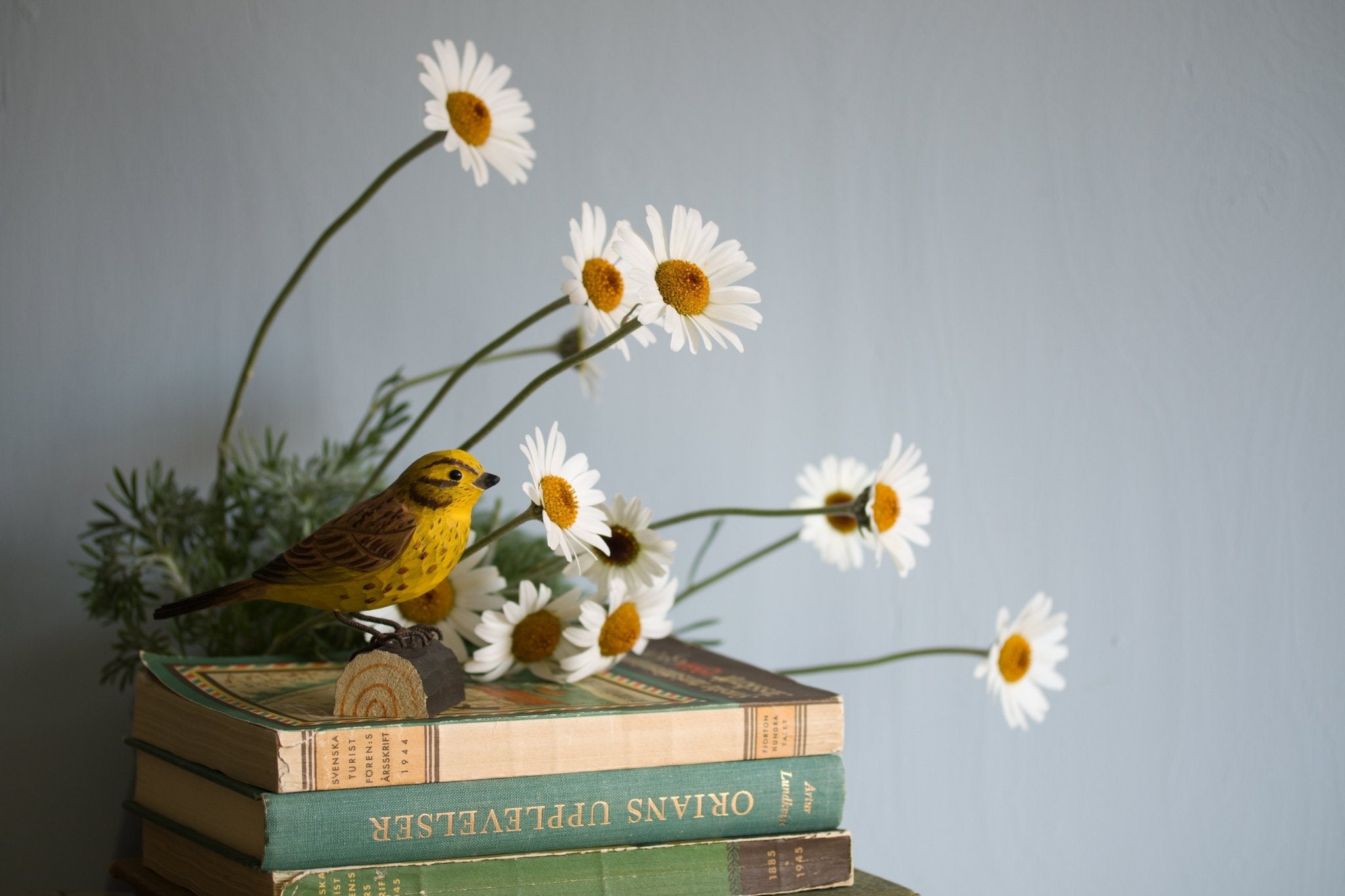 Gulspurv DecoBird - NaturHandel.dk