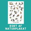 HAVENS FUGLE A6 KORT - NaturHandel.dk
