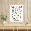 Havens Fugle Plakat - NaturHandel.dk
