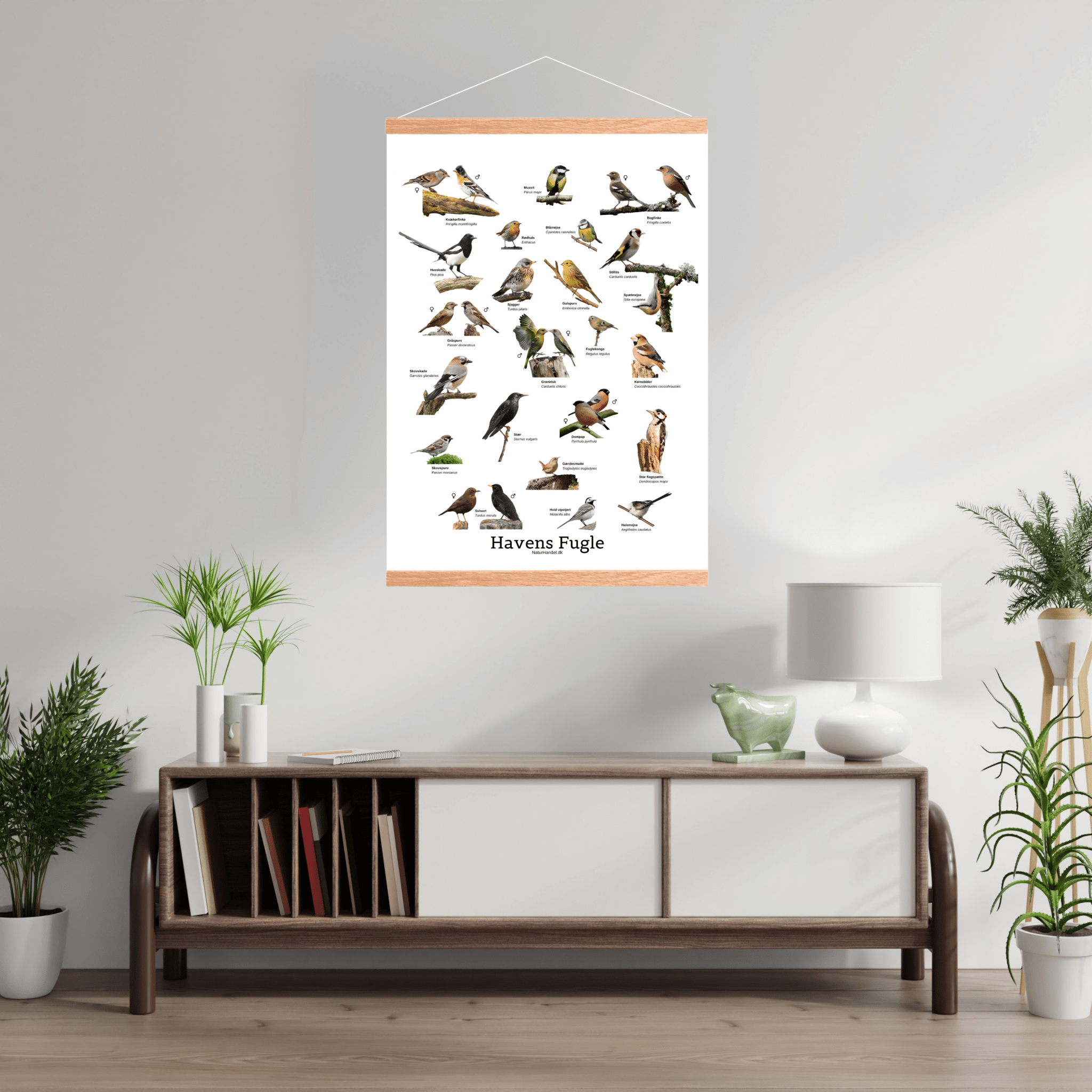 Havens Fugle Plakat - NaturHandel.dk