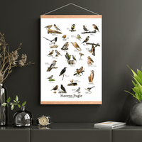 Havens Fugle Plakat - NaturHandel.dk