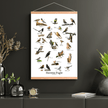 Havens Fugle Plakat - NaturHandel.dk