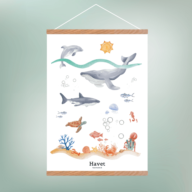 Havet Plakat - Børneplakat - NaturHandel.dk
