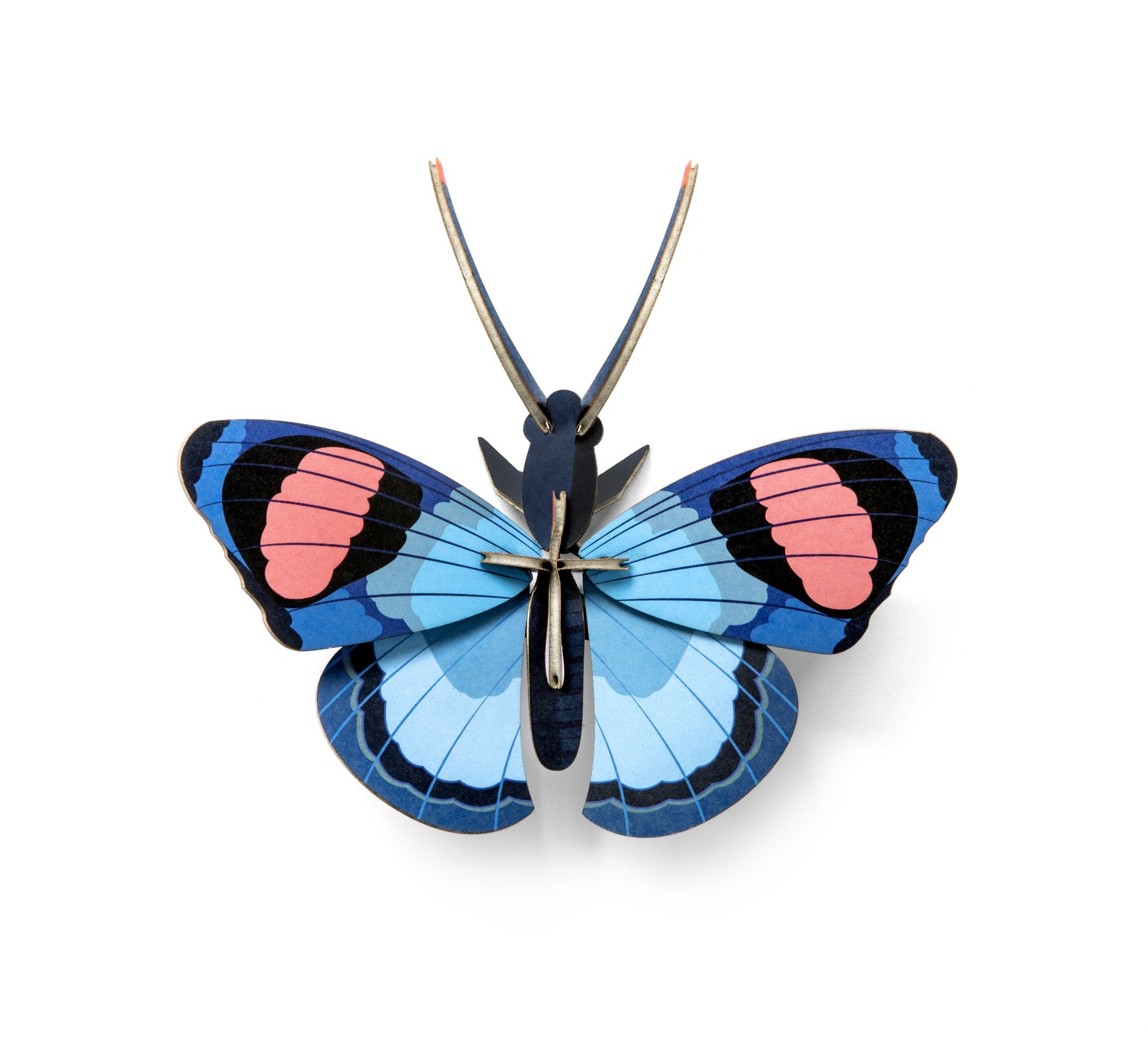 Peacock Butterfly - Studio ROOF