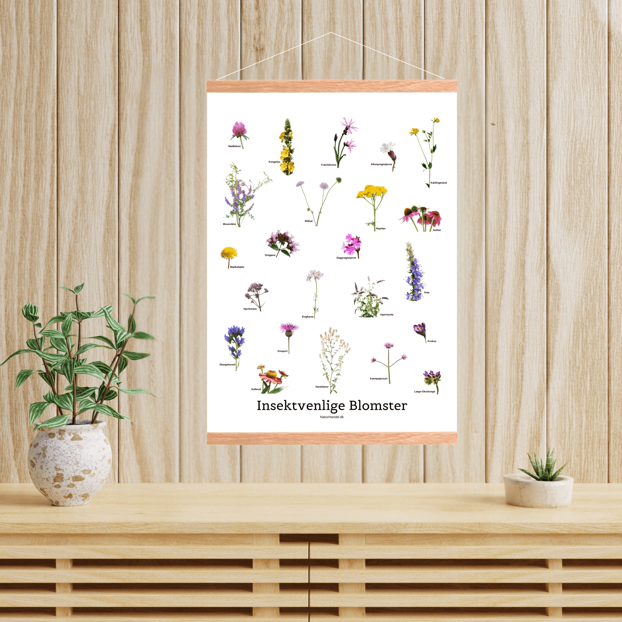 Insektvenlige Blomster Plakat - NaturHandel.dk
