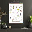 Insektvenlige Blomster Plakat - NaturHandel.dk