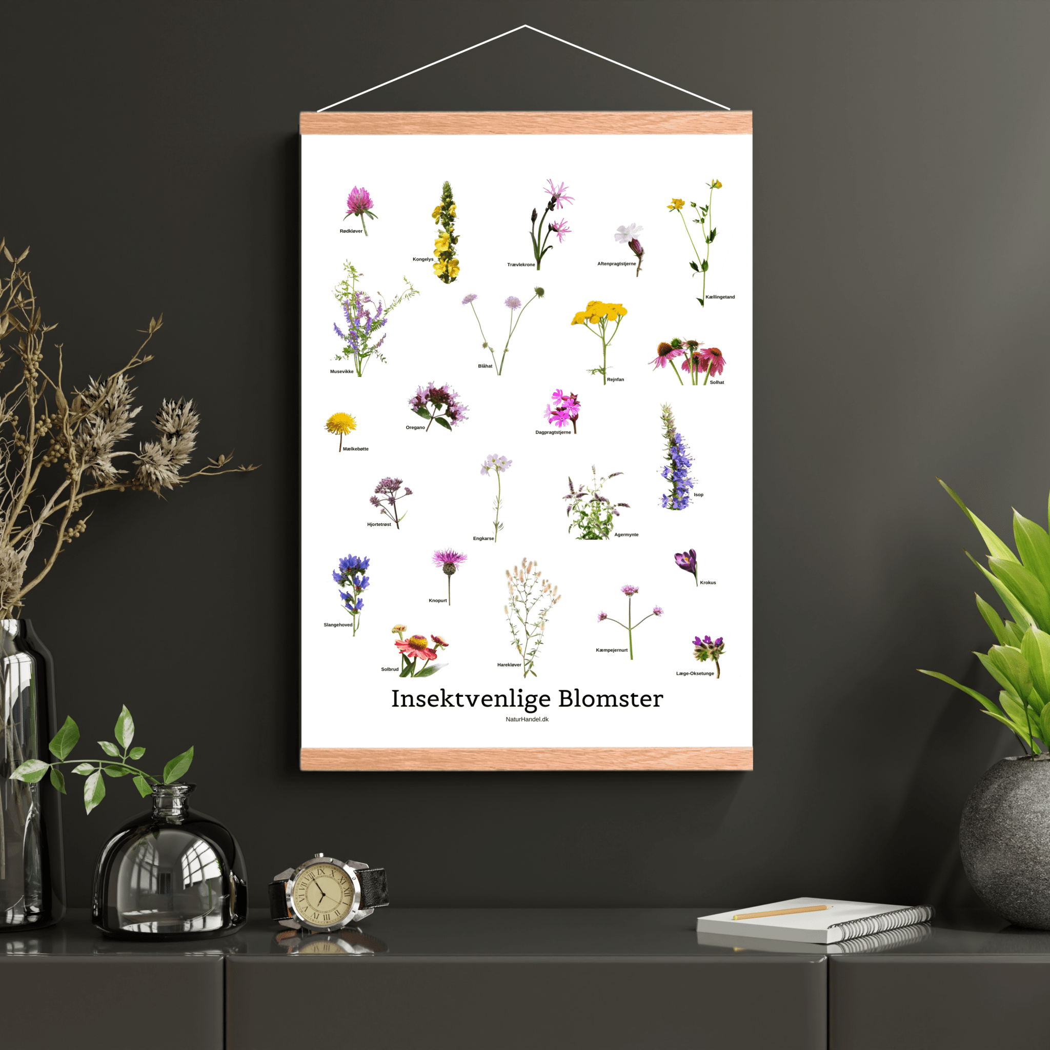 Insektvenlige Blomster Plakat - NaturHandel.dk