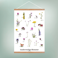 Insektvenlige Blomster Plakat - NaturHandel.dk