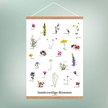 Insektvenlige Blomster Plakat - NaturHandel.dk