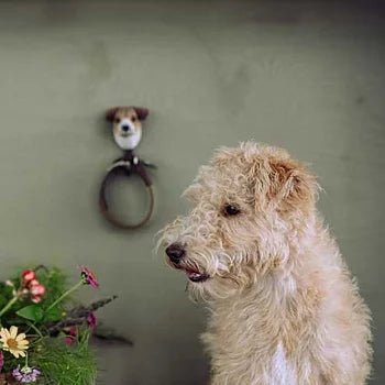 Jack Russell Terrier knage - NaturHandel.dk