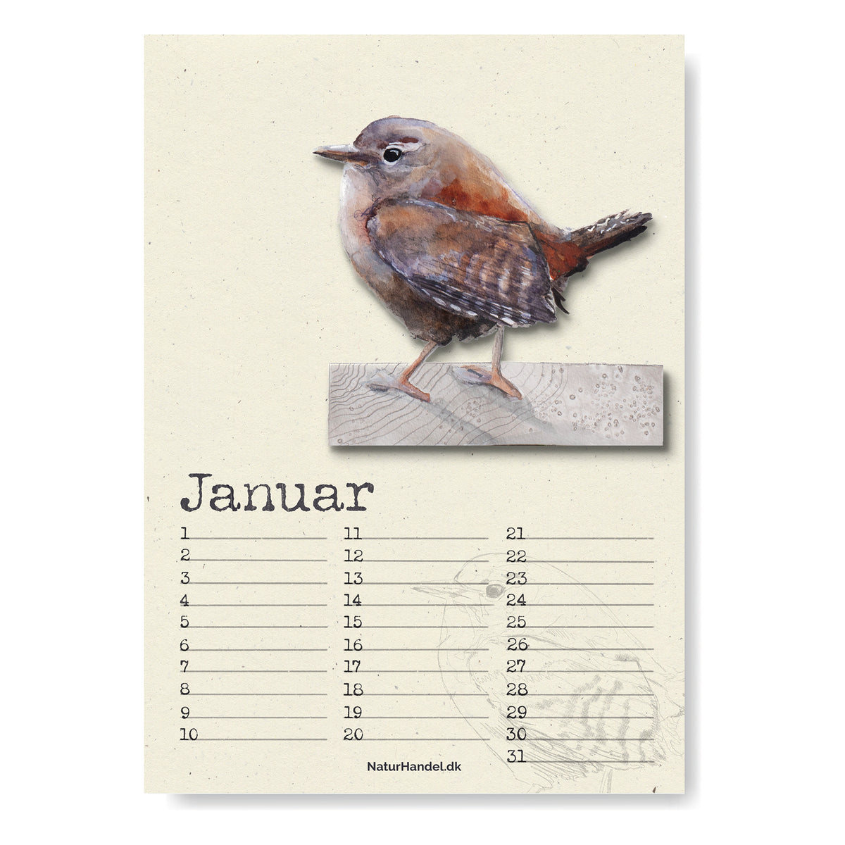 Evighedskalender med fugle i A4 - NaturHandel.dk