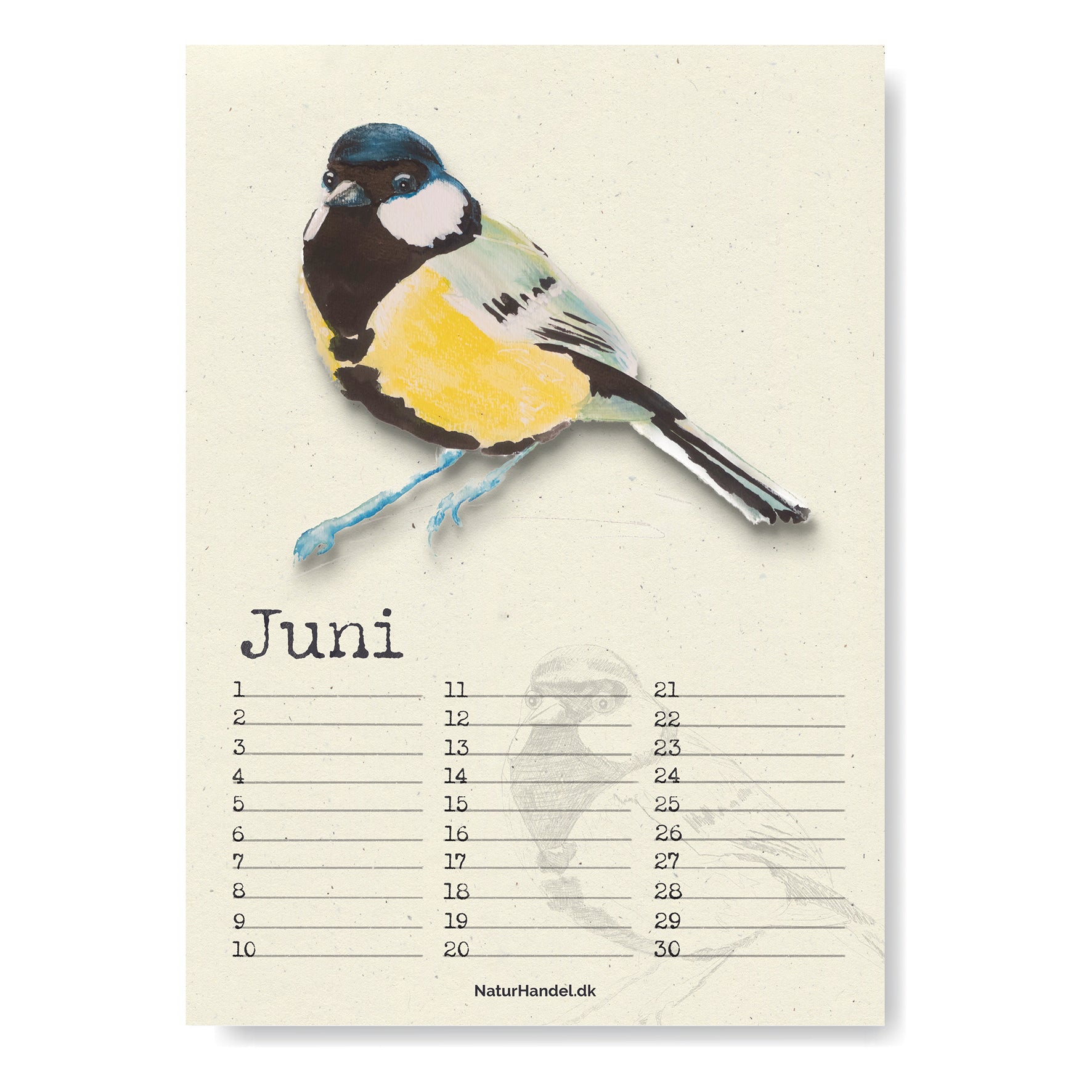 Evighedskalender med fugle i A4 - NaturHandel.dk