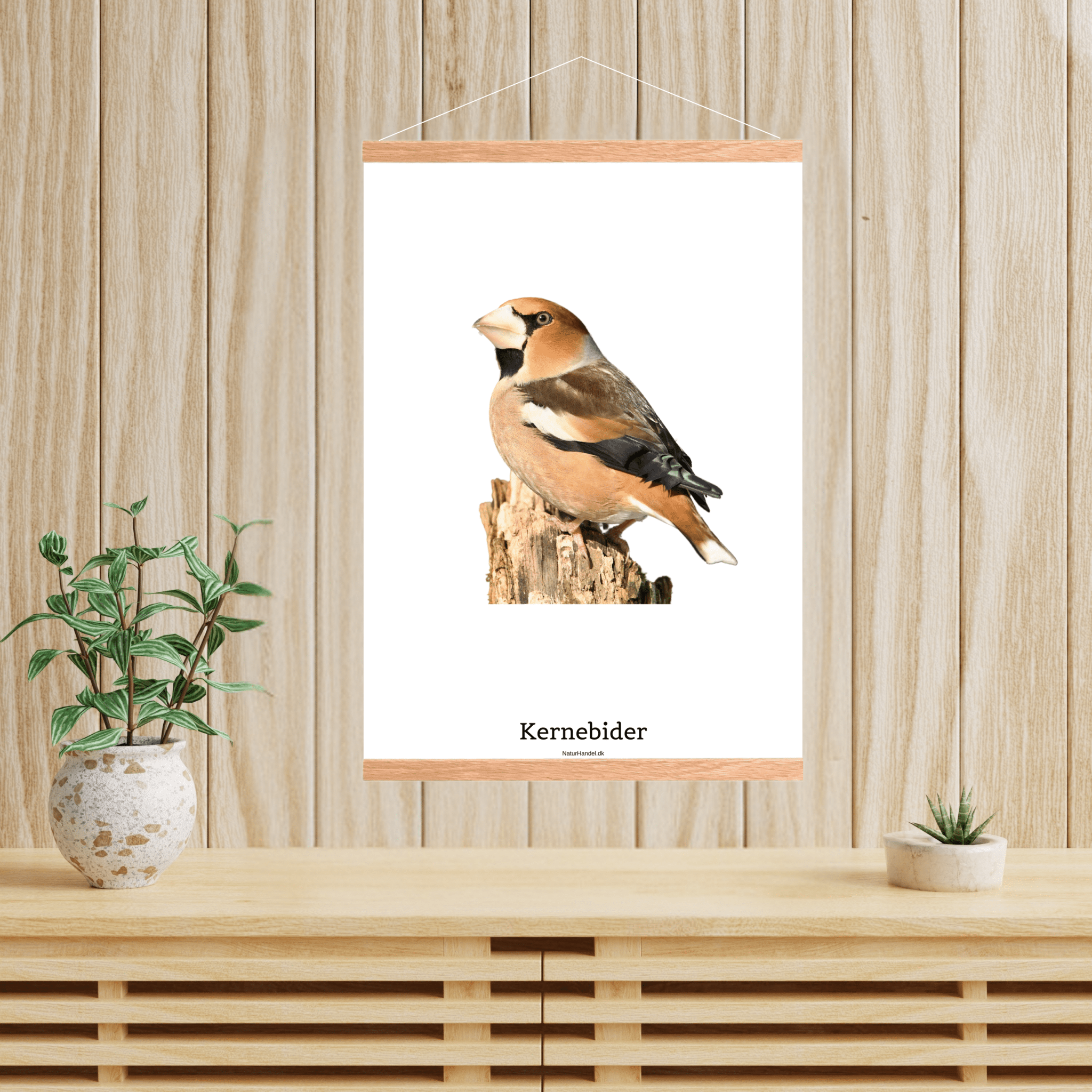 Kernebider - NaturHandel.dk