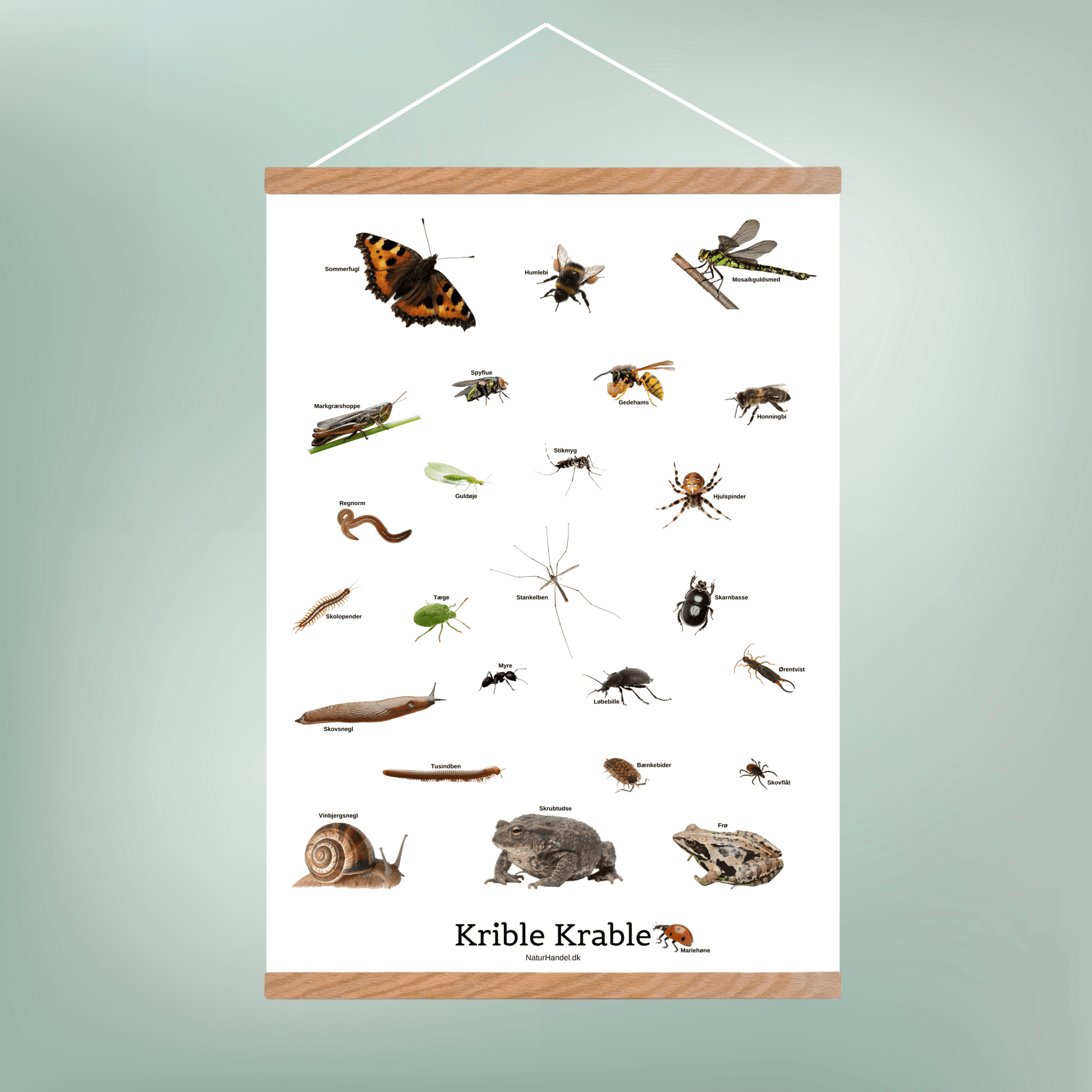 Krible Krable Plakat - NaturHandel.dk