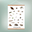 Krible Krable Plakat - NaturHandel.dk