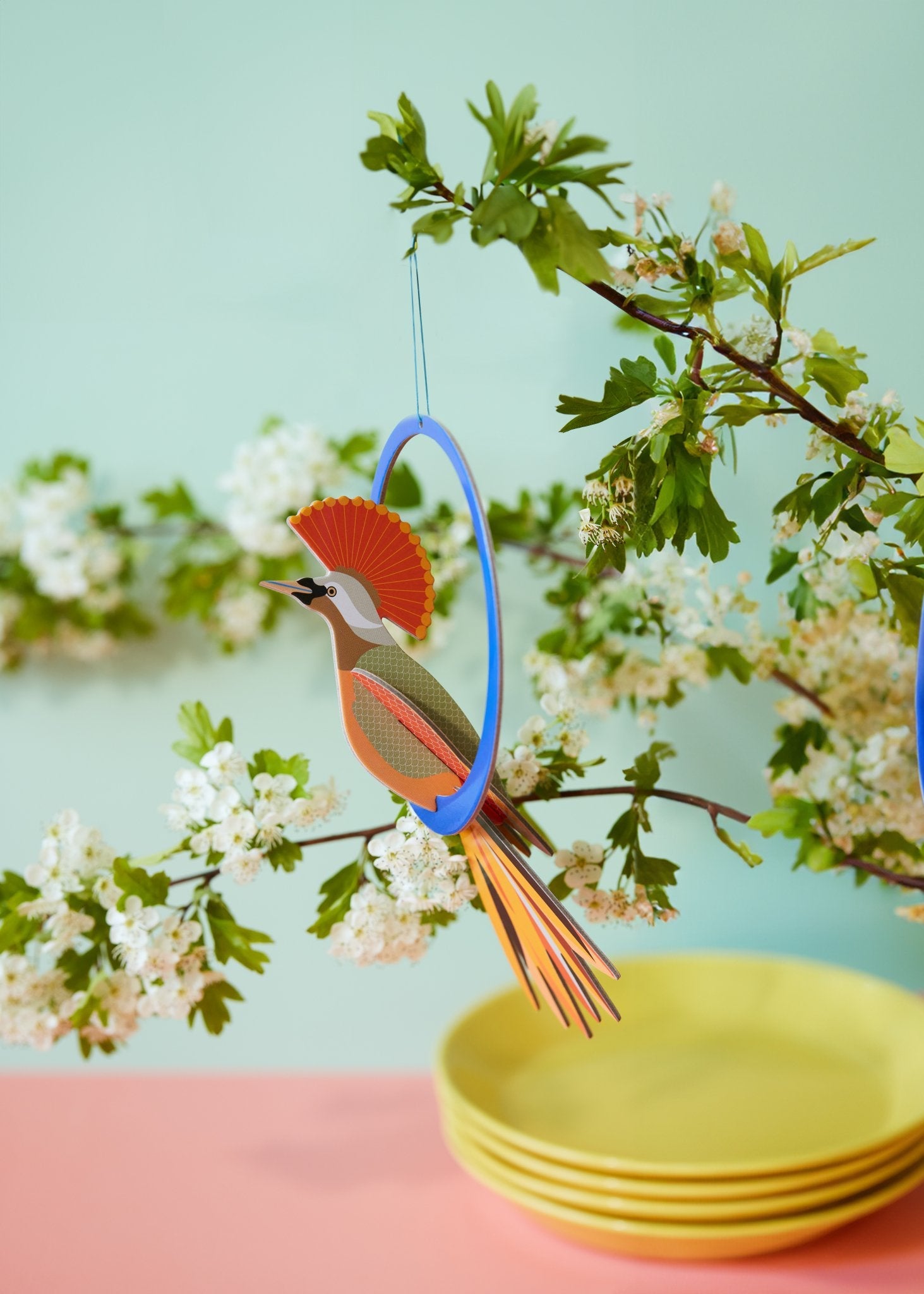 Kronet Obi - Pop Ud Kort - Studio ROOF - NaturHandel.dk