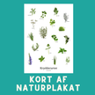 KRYDDERURTER A6 KORT - NaturHandel.dk