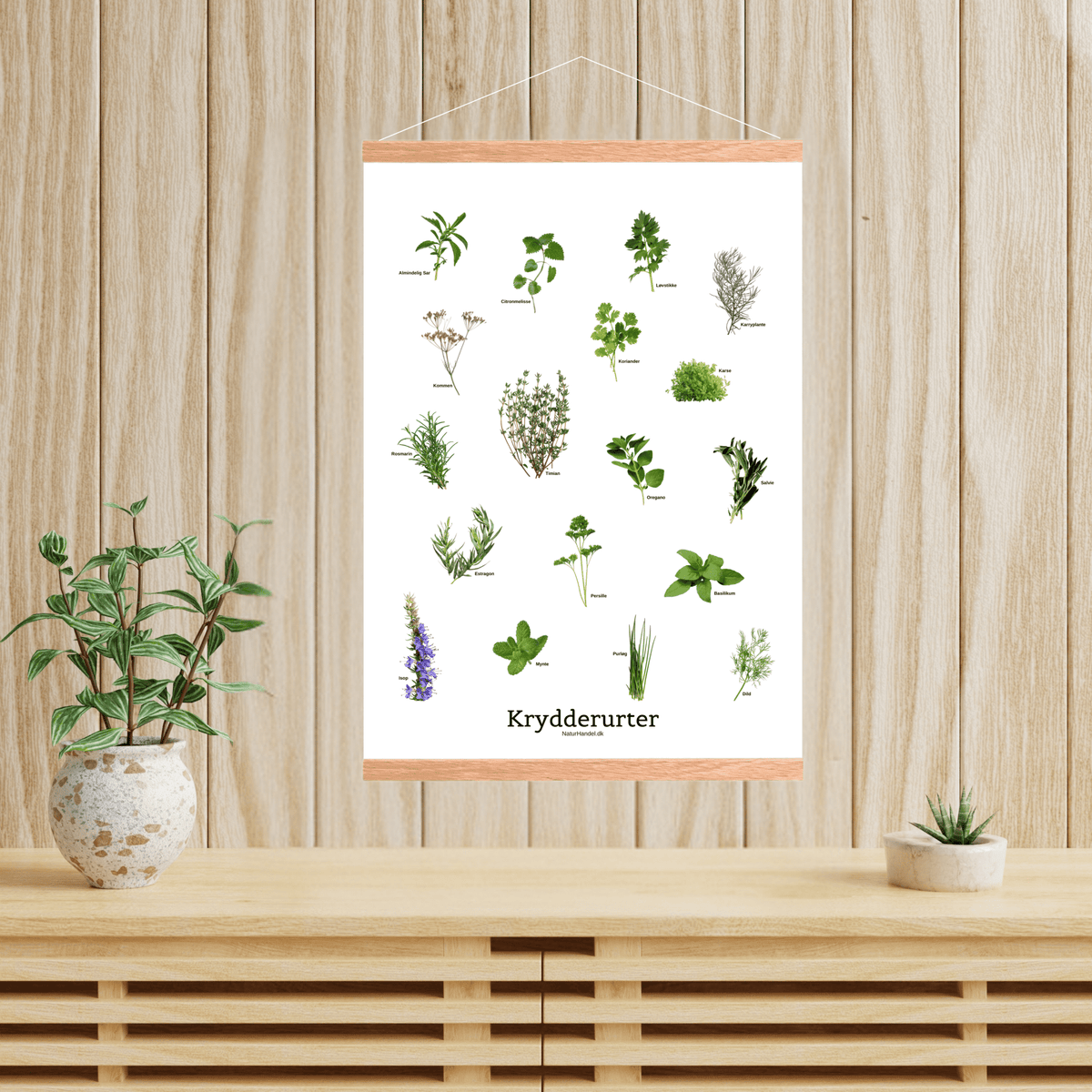 Krydderurter Plakat - NaturHandel.dk