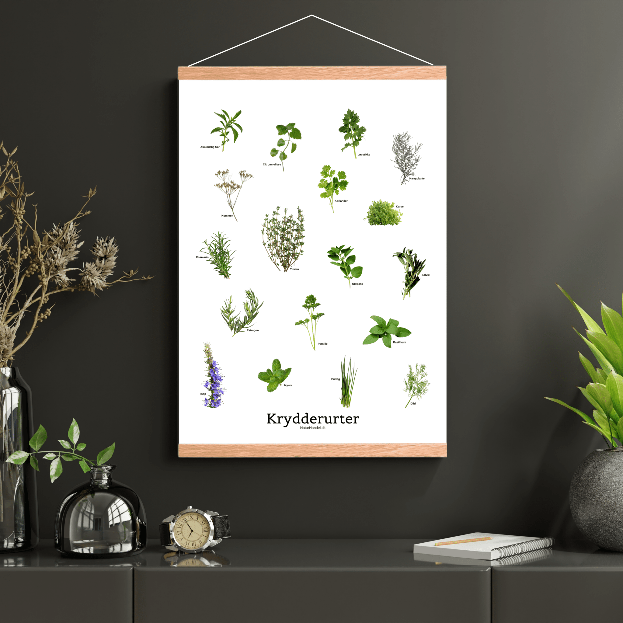 Krydderurter Plakat - NaturHandel.dk