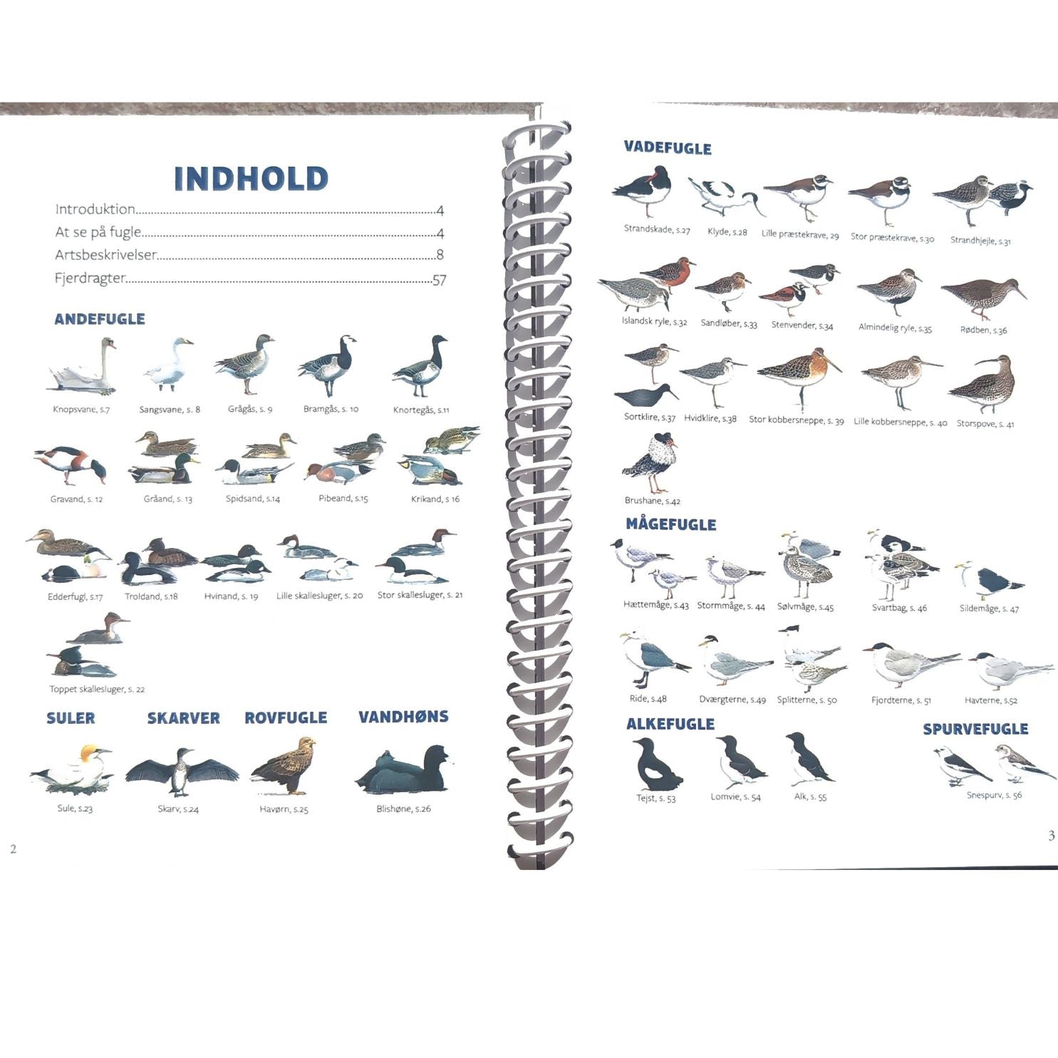 Lommeguide: Fugle ved kyst og strand - NaturHandel.dk